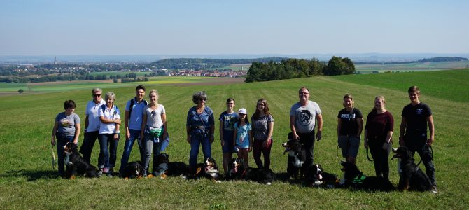 1. Geburtstag B-Wurf vom Haselwäldchen