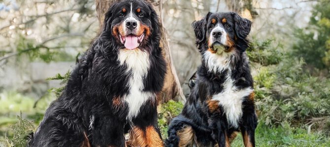 Finja und Carl hatten ein Date